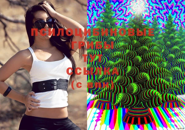 герыч Ахтубинск