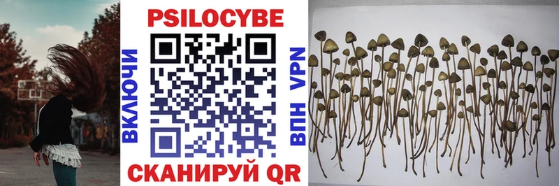 Псилоцибиновые грибы мухоморы  Купить где  Лаишево 